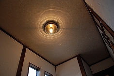 DSC_2930.jpg