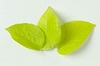 森26.jpg