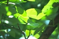 森25.jpg