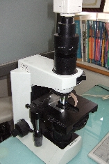DSCF0928.JPG